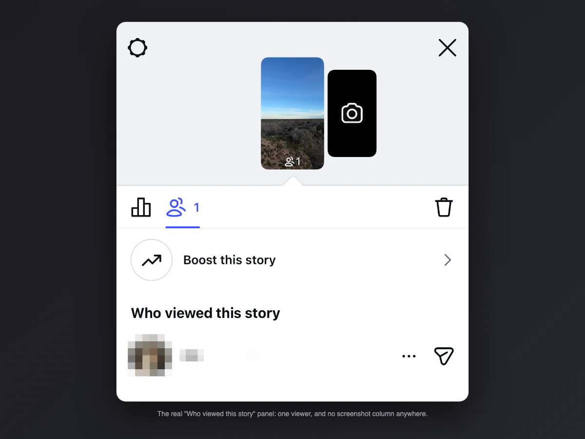 Real Instagram Who viewed this story panel showing one viewer and no screenshot information