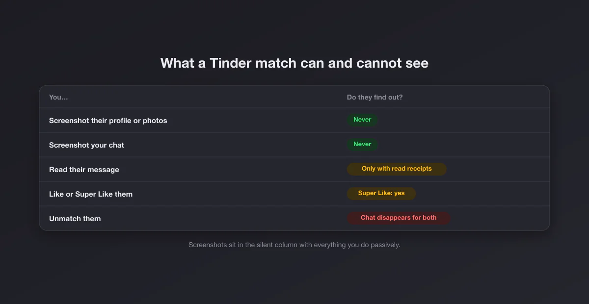 Table of what a Tinder match can see: screenshots of profiles and chats never, read messages only with read receipts, Super Likes yes, unmatching removes the chat