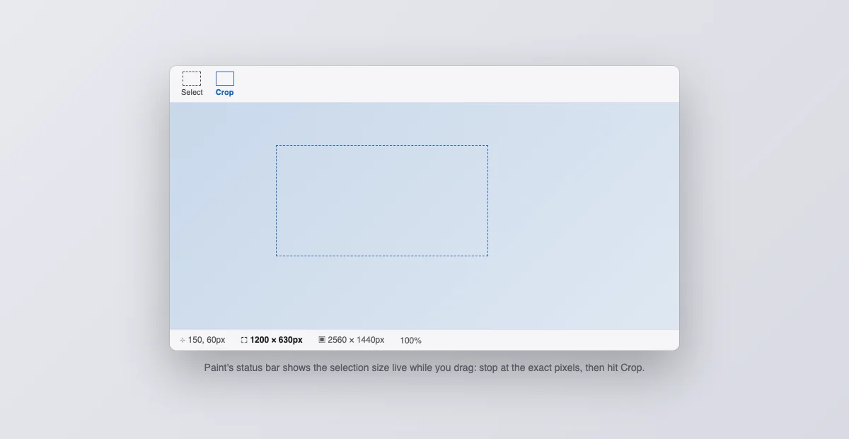 Paint with a selection and the status bar showing the live pixel size next to the Crop button